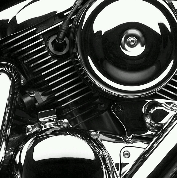 Meet your Posher, Patrick - Picture 1 of 1